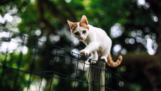 1757522 (a): :3840x2160